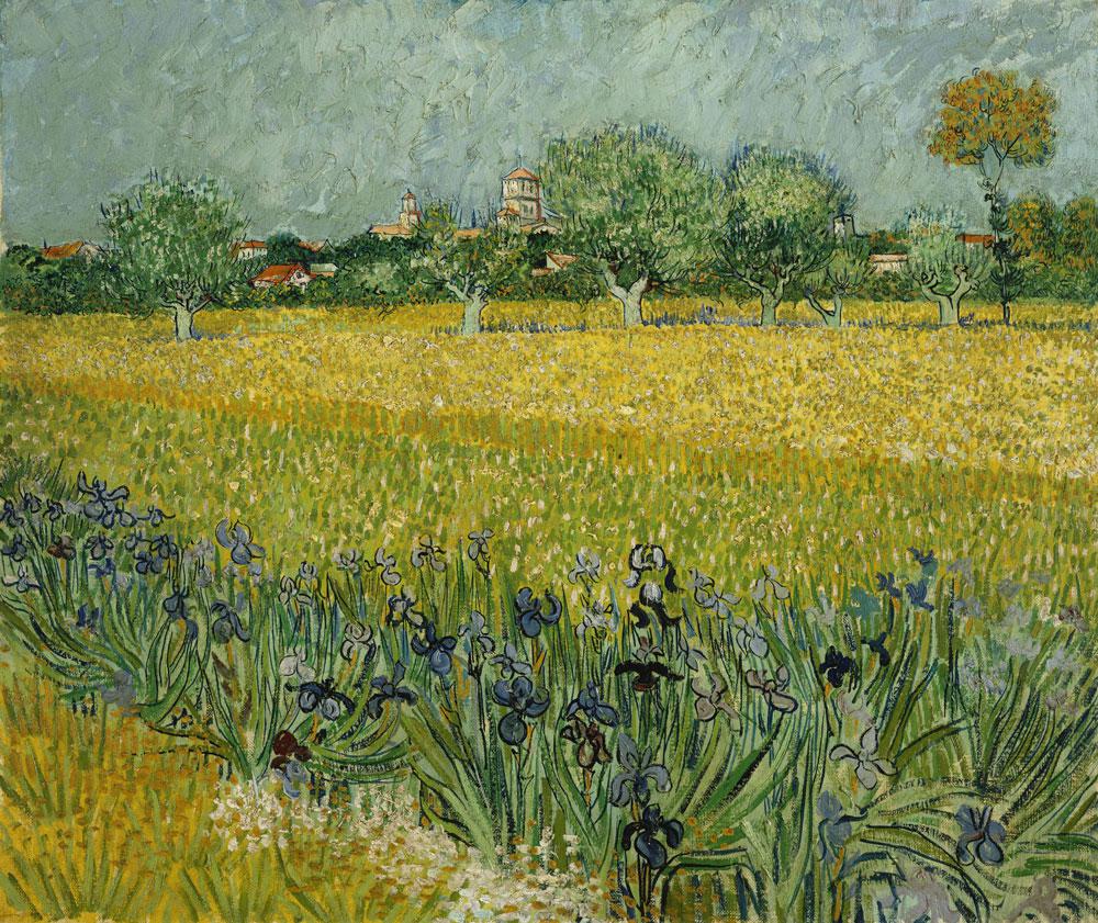 van gogh field