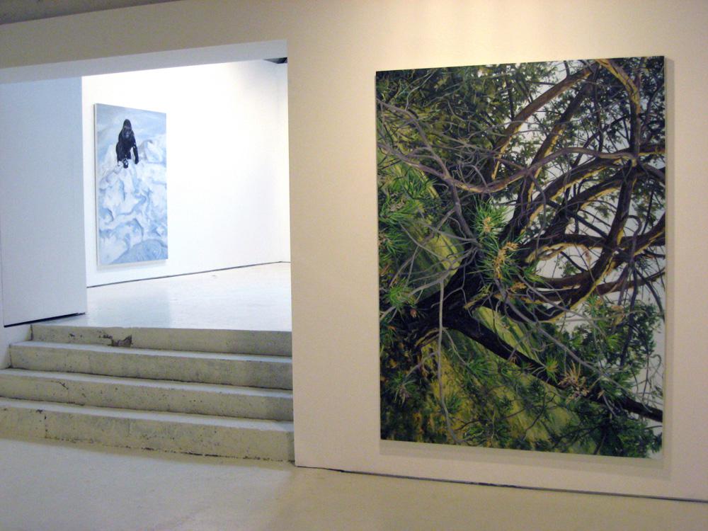 A view from Will Gorlitz’s fall 2008 exhibition at Birch Libralato. Left: Rhodesia 2008 Right: Arboretum Yellow Pine 2008 / photo Richard Rhodes