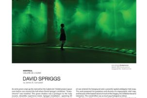 David Spriggs