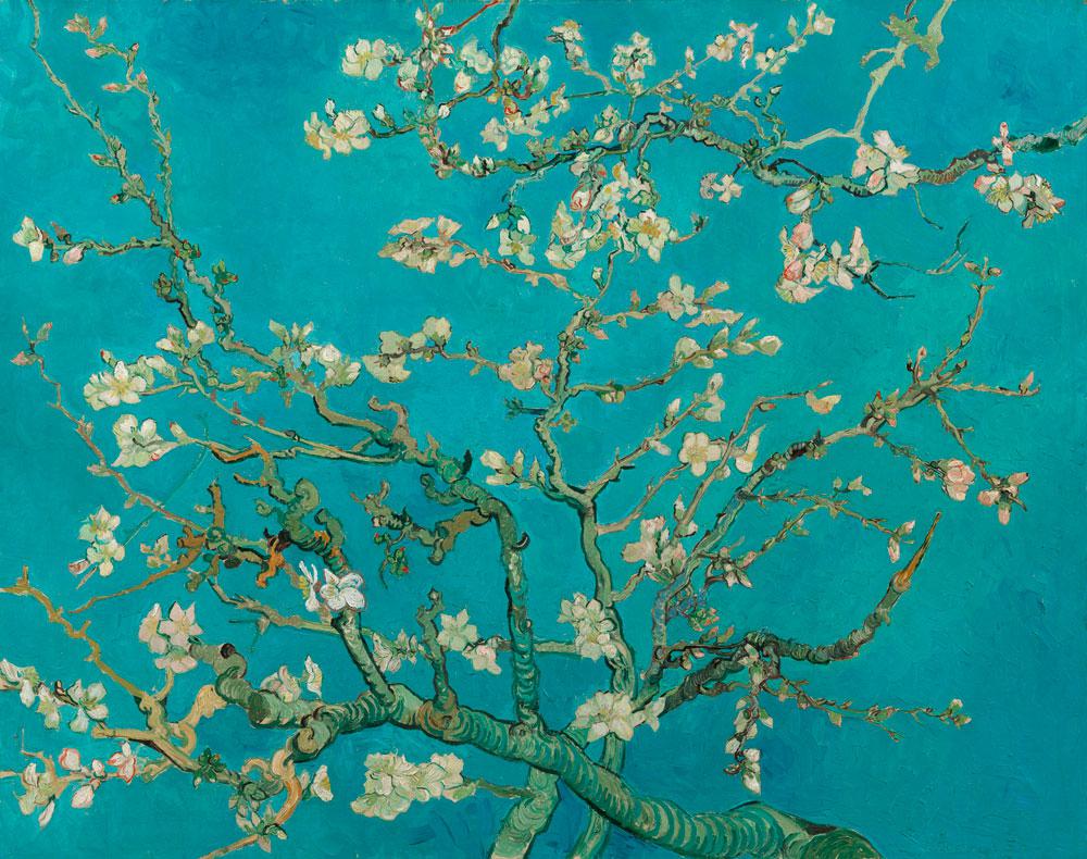 Vincent van Gogh <em>Roses</em> 1889 Courtesy National Museum of Western Art Tokyo
