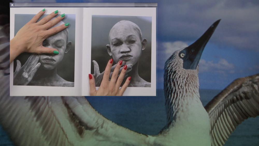 A still from Camille Henrot's film <em>Grosse Fatigue</em> (2013), which won the Silver Lion at this year's Venice Biennale