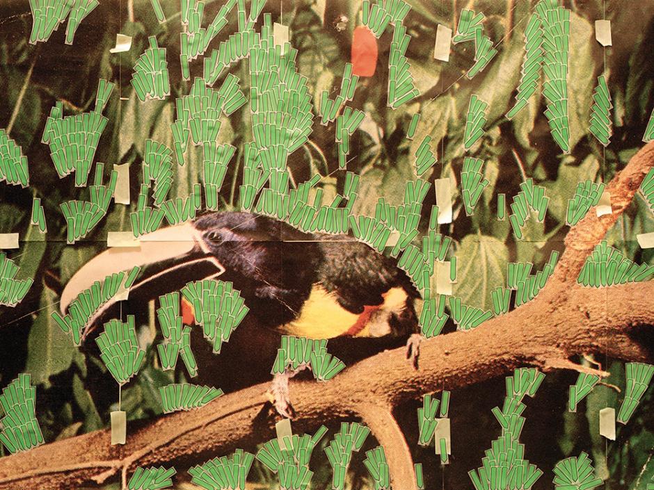 Sara Cwynar <em>Toucan in Nature (Post it notes)</em> 2013 Chromogenic print 76.2 cm x 101.6 cm Courtesy the artist and Cooper Cole 