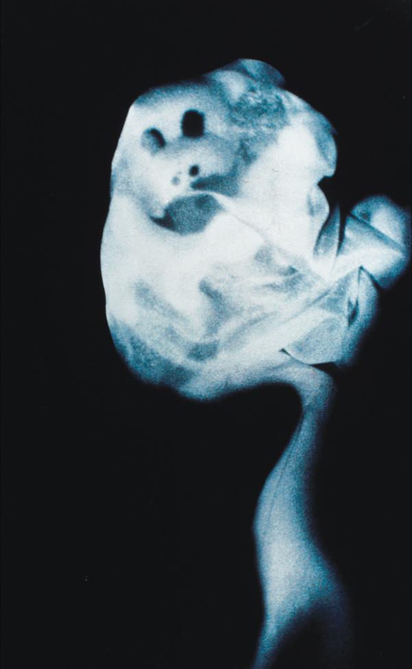 David Askevold <em>The Poltergeist</em> (detail)  1974–79  Seven Cibachrome prints  102.8 cm x 7.03 m overall  Collection Canadian Museum of Contemporary Photography