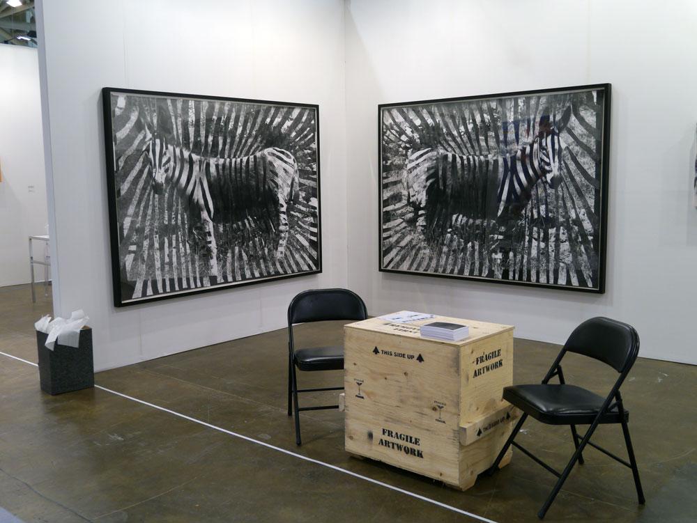 Shannon Bool's <em>Gaza Zebras</em> (2012), brought by Daniel Faria Gallery, were among the contemporary Canadian artworks sold at Art Toronto / photo Richard Rhodes