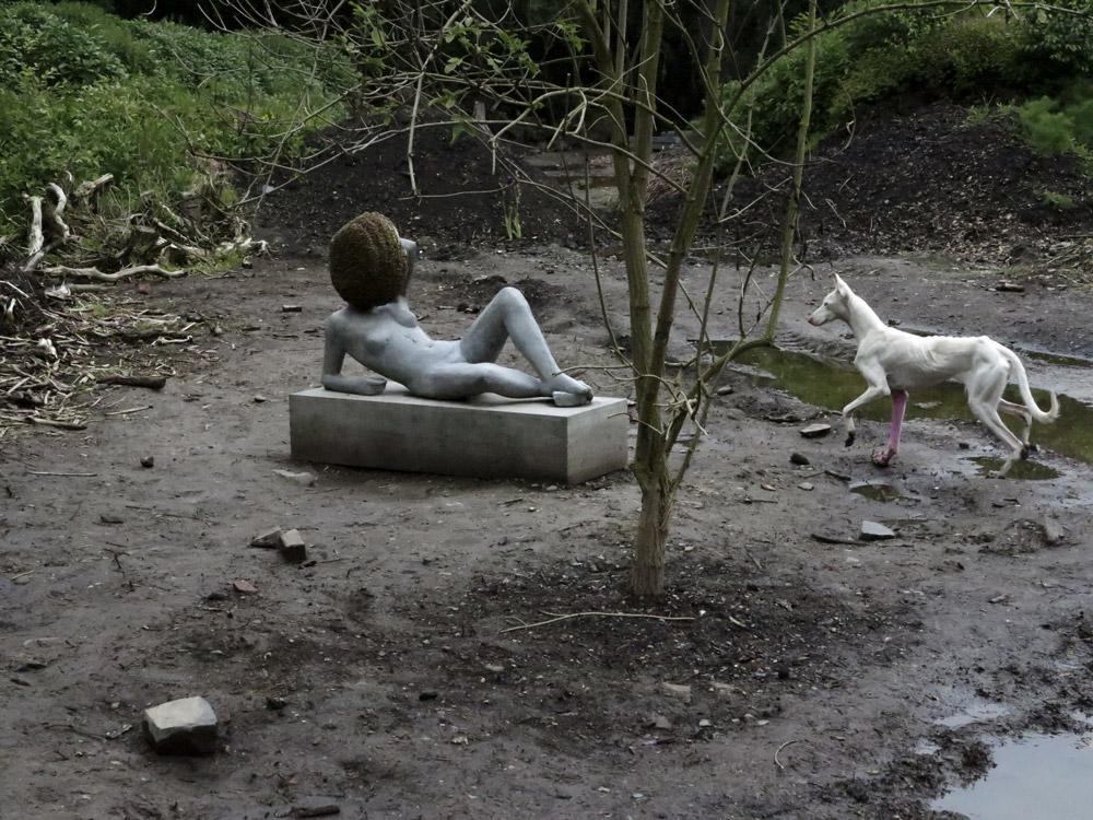 Pierre Huyghe <em>Untilled</em> 2011–2012 Animals, plants, objects and minerals Dimensions variable Courtesy the artiste, Marian Goodman, New York/Paris and Esther Schipper, Berlin / photo © Pierre Huyghe