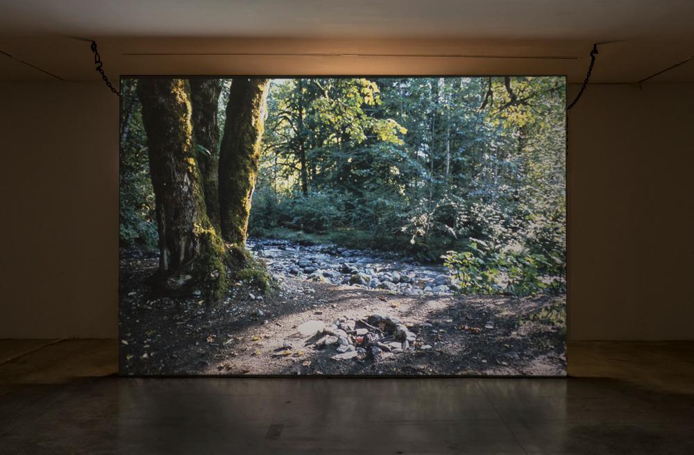 Mike Nelson, <em>Eighty circles through Canada (the last possessions of an Orcadian mountain man)</em>, 2013. 35mm slide projection, new ply, found wood collected from the North Pacific coast, metal chains and a selection of Erlend Williamson’s personal effects. Courtesy the artist and the Power Plant. Photo: Toni Hafkenscheid.