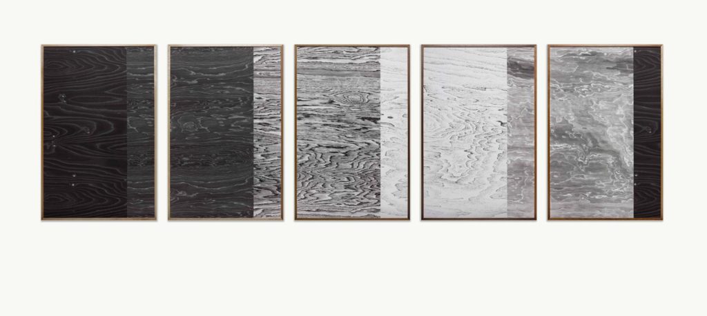 Winning artist Lisa Oppenheim sometimes uses unusual materials as negatives—for instance, wood—as seen here in her series <em>Landscape Portraits (Some North American Trees)</em> (2014). Courtesy of the artist and Galerie Juliètte Jongma, Amsterdam.