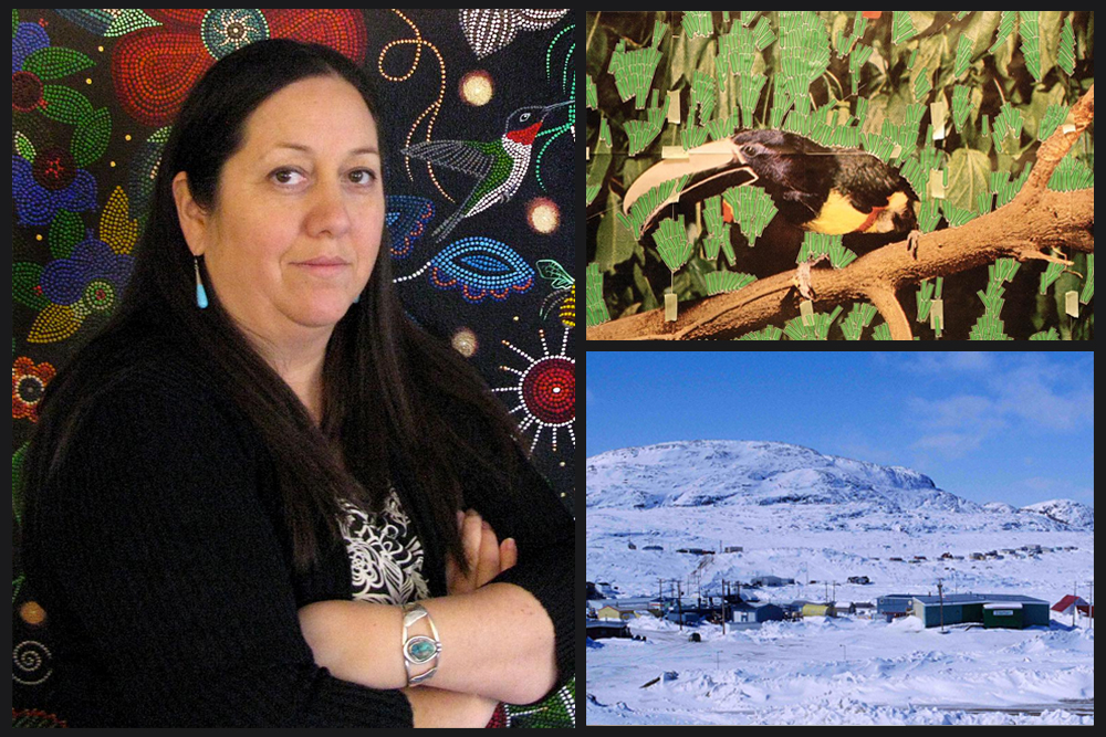 Images clockwise from left: Christi Belcourt; Sara Cwynar, <em>Toucan in Nature (Post it notes)</em>, 2013. Courtesy Cooper Cole; Cape Dorset, Kinngait. Photo: Ansgar Walk.