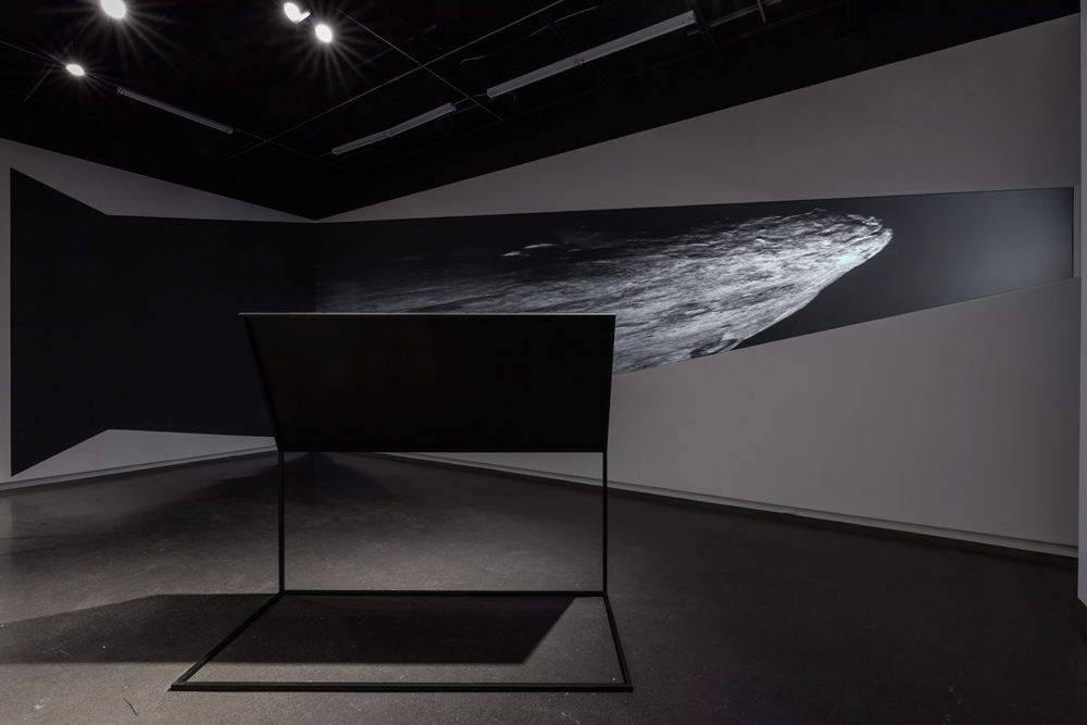 Antonia Hirsch, “Negative Space” (installation view), 2015. Image courtesy Gallery TPW. Photo: Toni Hafkenscheid.