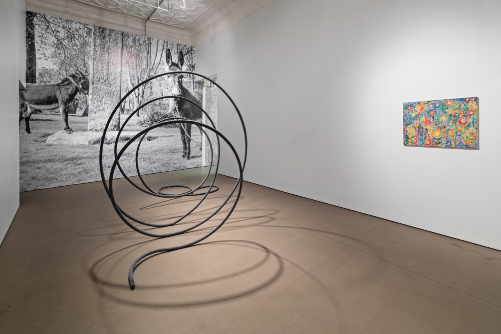 Isabel Nolan, <em>The weakened eye of day</em> (installation view at Mercer Union in Toronto), 2014. Photo: Toni Hafkenscheid. Nolan’s work opens at the Contemporary Art Gallery in Vancouver this week.