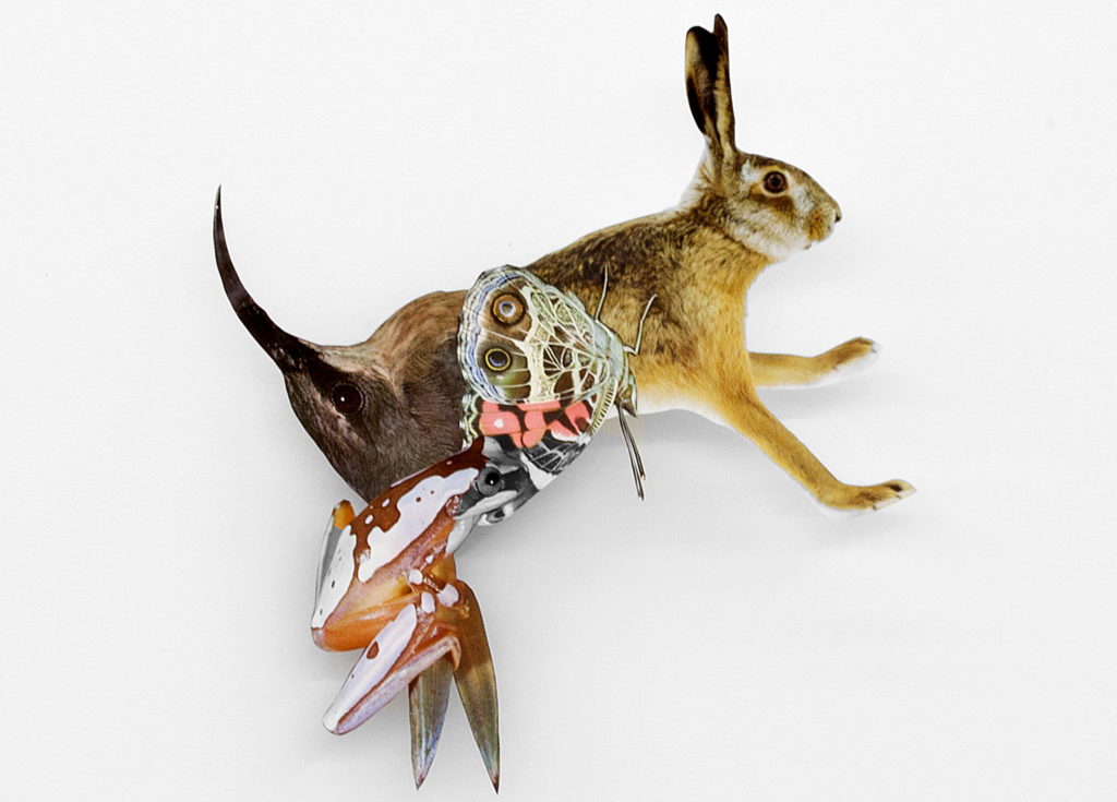 Jennifer Murphy's  delicate collage <em>Rabbit</em> (2015) is up for auction at Canadian Art's 21st annual gala. Courtesy the artist and Clint Roenisch Gallery, Toronto.