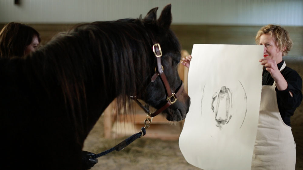 Artist Yvonne Mullock, acting as printmaking assistant to Arabian horse Shere Kaan, holds up a monoprint in the film documentation for &ldquo;Dark Horse.&rdquo; Photo: Noel Bégin. Image courtesy the artist.