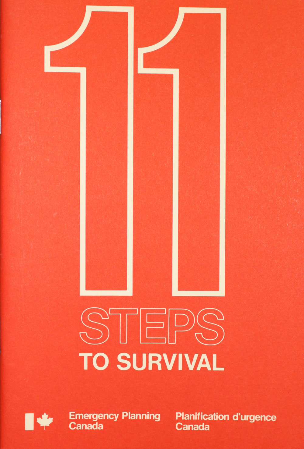 11 Steps to Survival