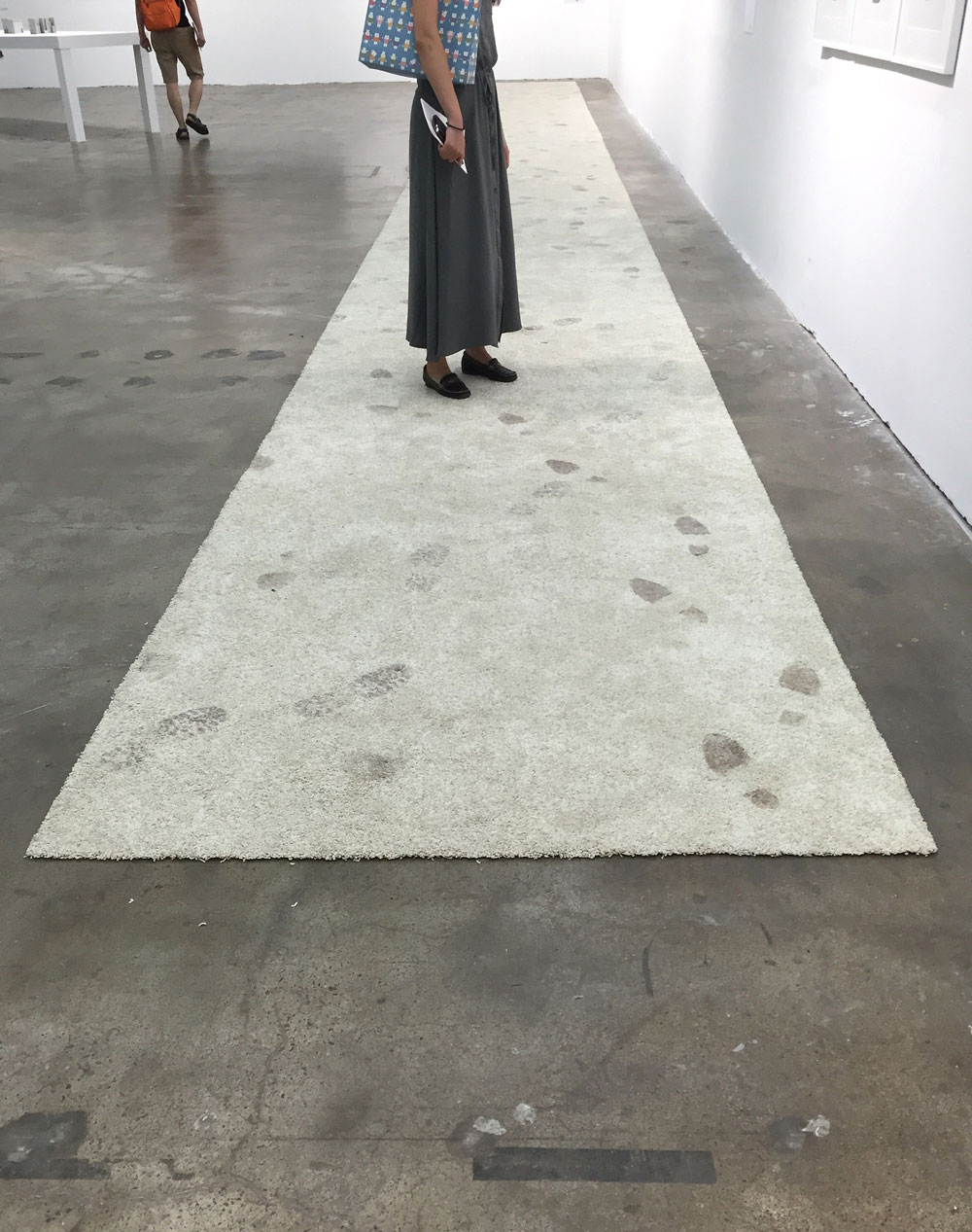 Nadia Belerique photosensitive carpet
