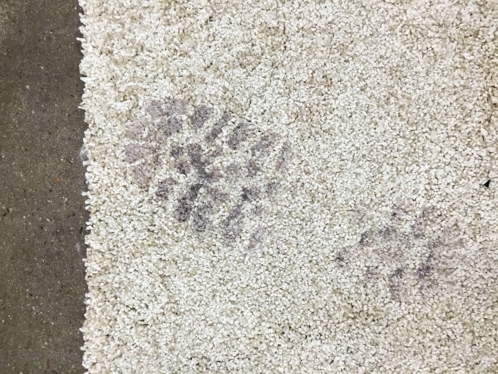 Nadia Belerique's <em>Have You Seen This Man (2)</em> (2016) consists of a liquid-light photosensitive emulsion on carpet that records the imprint of visitors' footsteps at the Gwangju Biennale. 