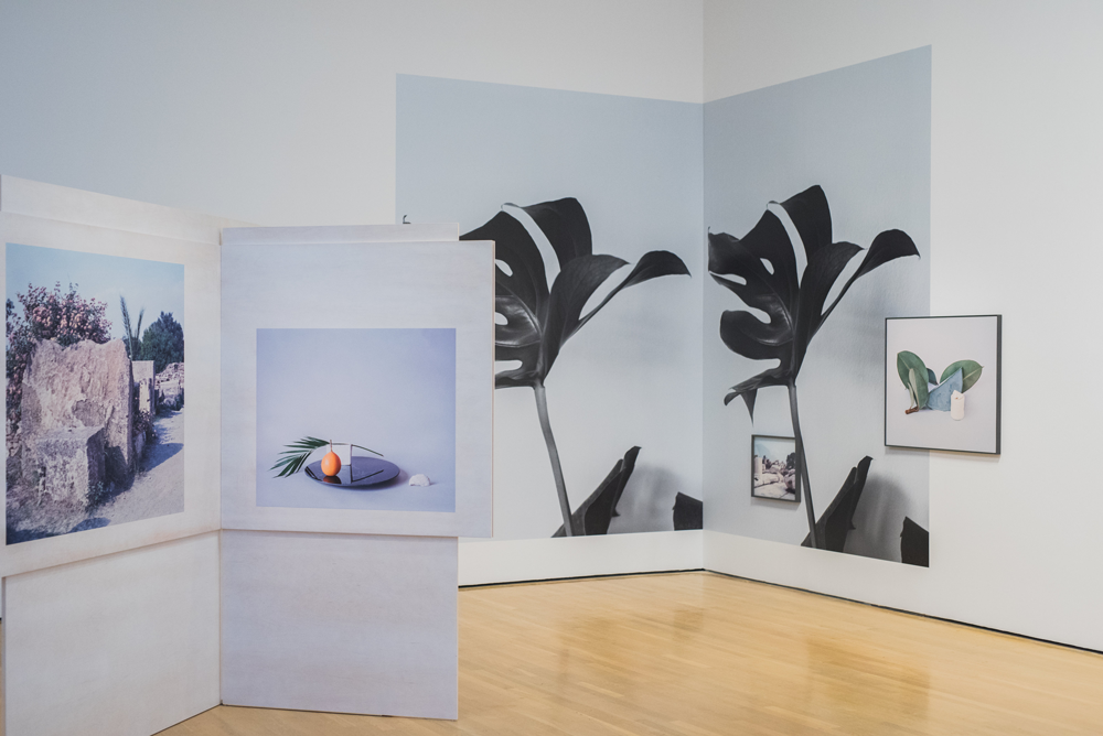 Installation view of the Biennale de Montréal 2016 at the Musée d’art contemporain de Montréal featuring Celia Perrin Sidarous, <em>Notte coralli</em>, 2016. Photo: Daniel Roussel. Courtesy the Biennale de Montréal.