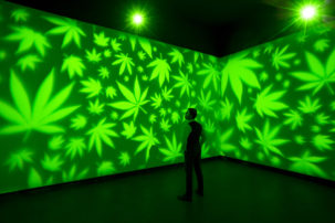 Hotboxing the White Cube: The Rise of Cannabis Culture in High Art
