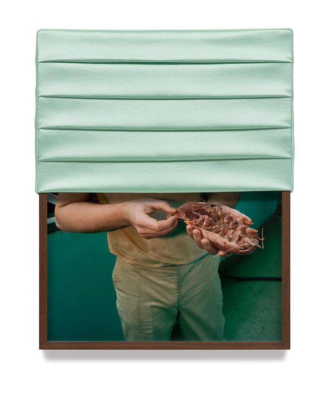 Elad Lassry