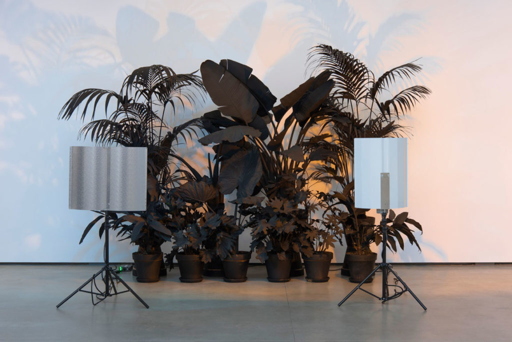 Andrew Dadson, <em>Black Plants</em> (detail), 2015. Courtesy the artist and David Kordansky Gallery.
