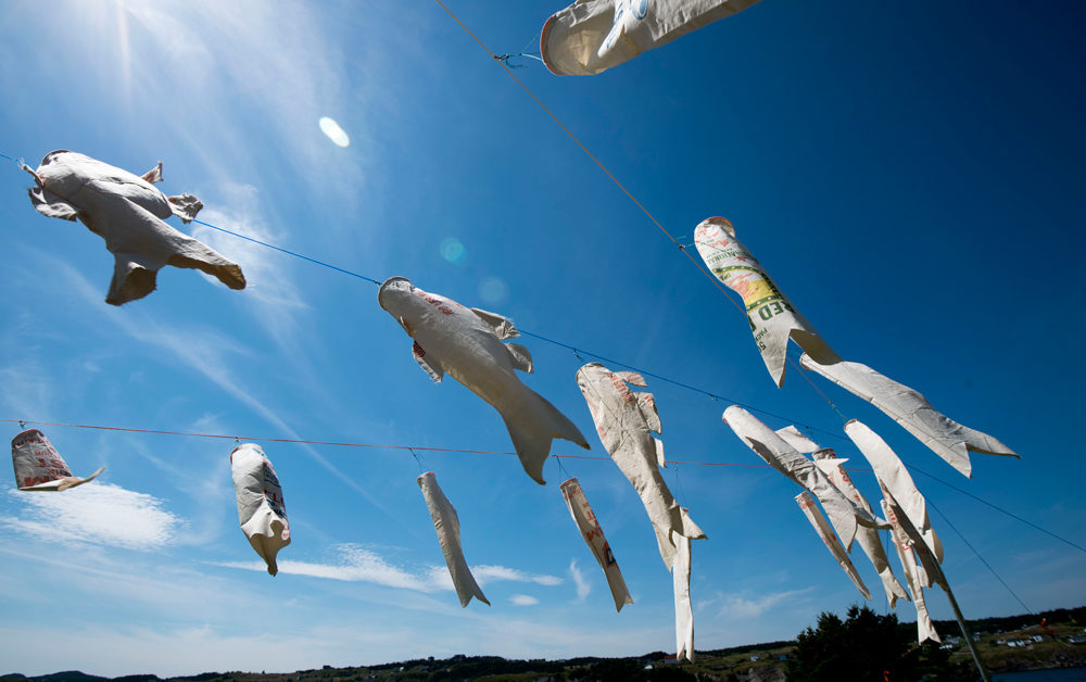 Viewing the Bonavista Biennale, in Outport Newfoundland Canadian Art