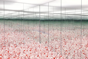 Digging Deeper into the AGO’s Effort to Crowdfund a Kusama