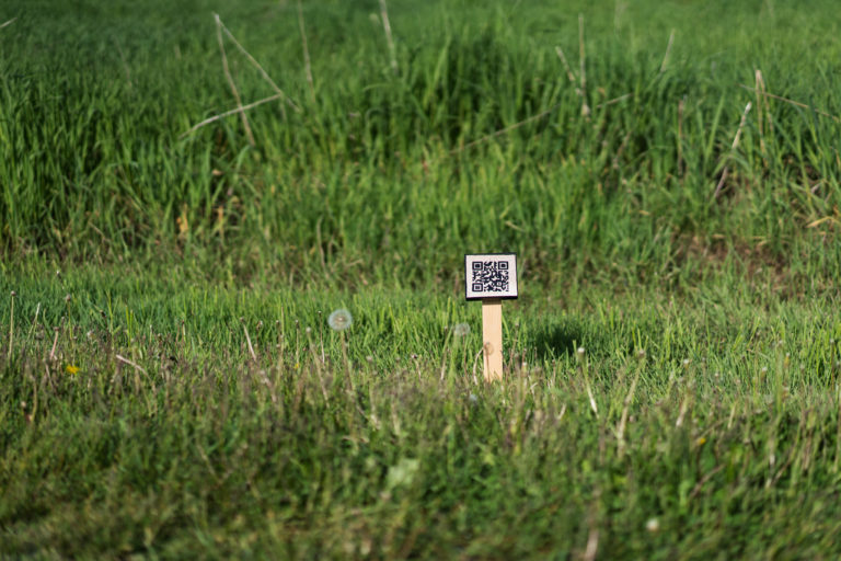 Carrie Allison’s <em>Site</em> surfaces Indigenous histories along the Cornwallis River with QR codes rendered in embroidered birchbark. Photo: Ernest Cadegan.