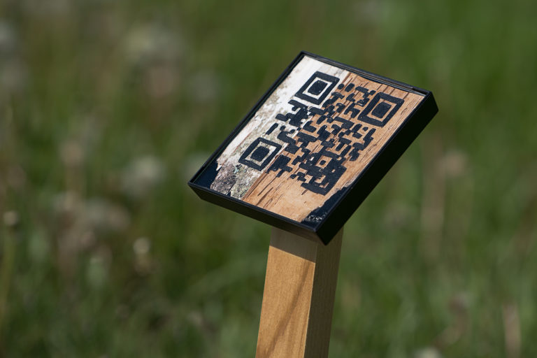 A closer view of one of Carrie Allison’s QR codes in birchbark. Photo: Ernest Cadegan.