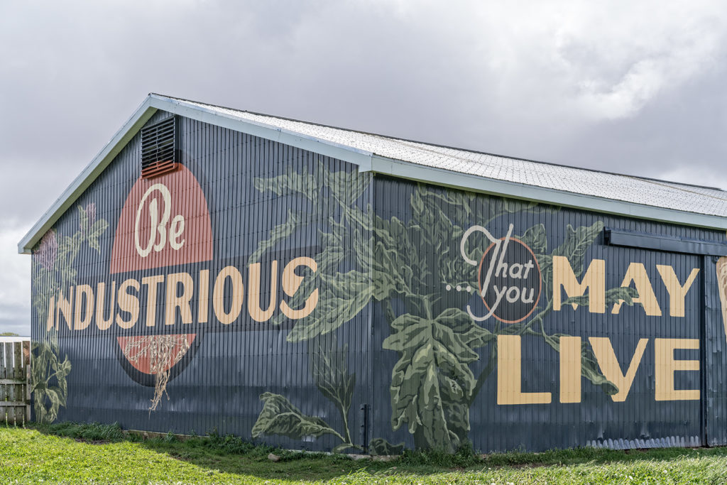 A closer view of Ericka Walker’s mural at Longspell Point Farm in Nova Scotia. Photo: Ernest Cadegan.