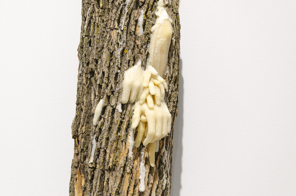 Sheri Nault, <em>Entangled Bodies 4</em> (detail), 2017. Tree bark, beeswax, canvas, metal fixings. Courtesy of the artist. Photo: Charles Cousins. 