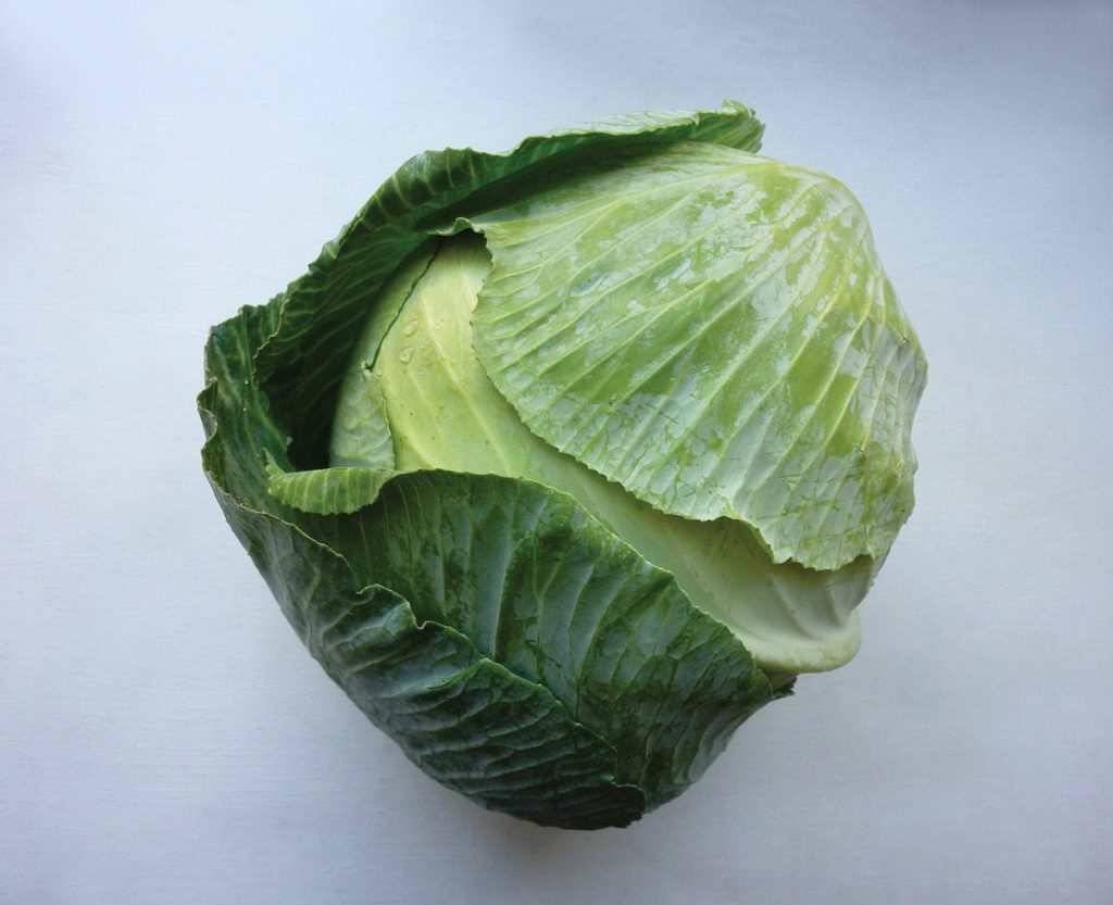 The cabbage (or <em>kapusta</em> in Ukrainian) is a central metaphor for history and reality in Erín Moure’s play <em>Kapusta</em>.