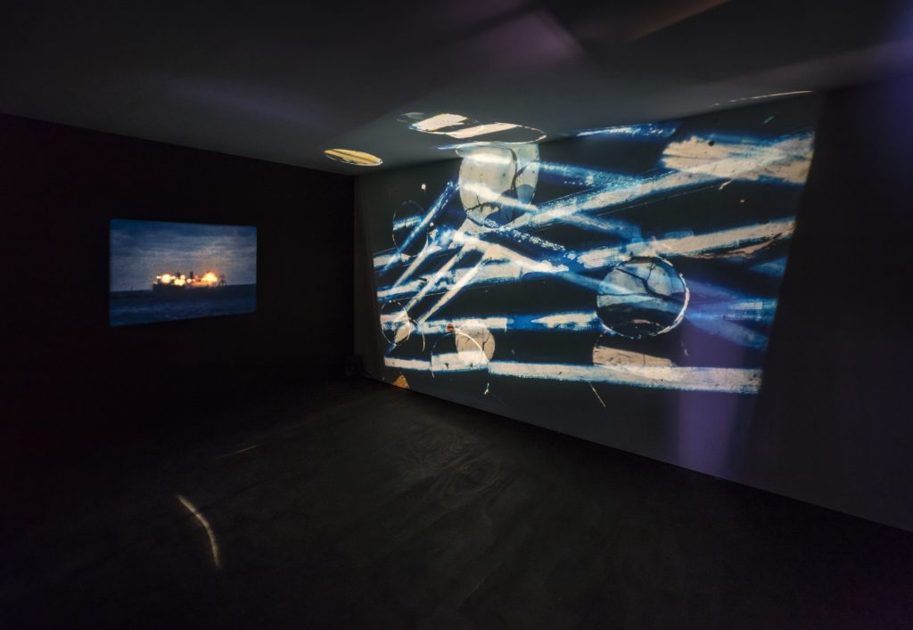 Edgar Cleijne and Ellen Gallagher, <em>Osedax</em>, 2010. Installation view at the Power Plant, 2018. Courtesy the artists. Photo: Toni Hafkenscheid.