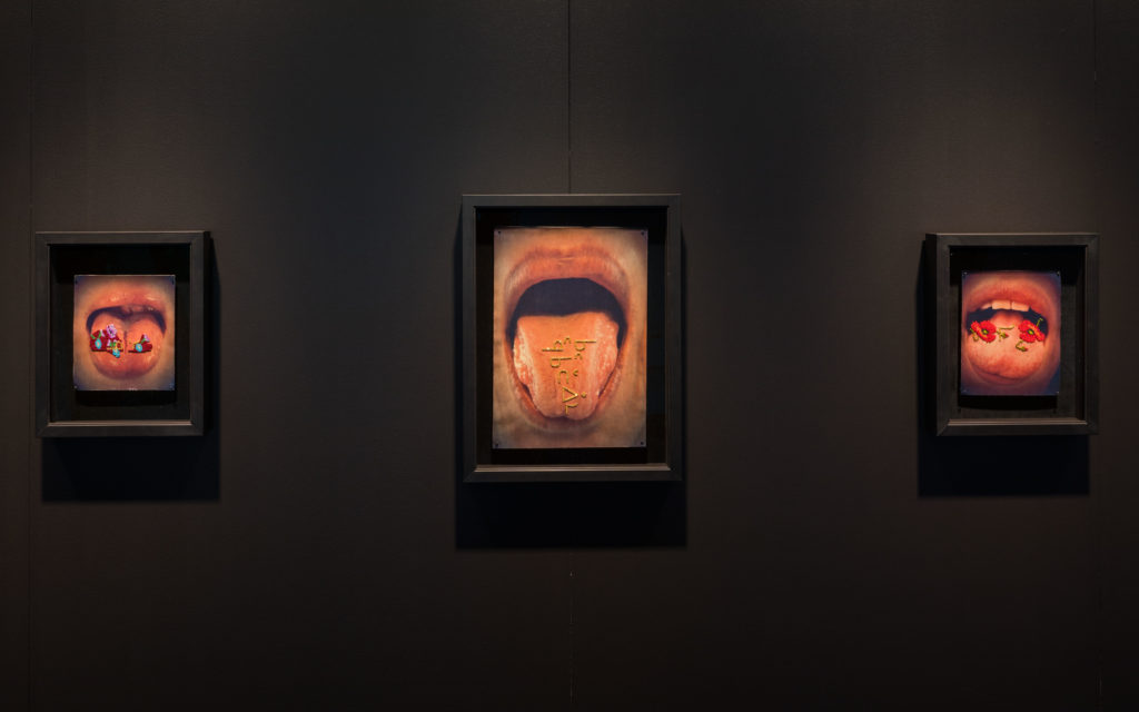 Catherine Blackburn, <em>se</em>, 2017.