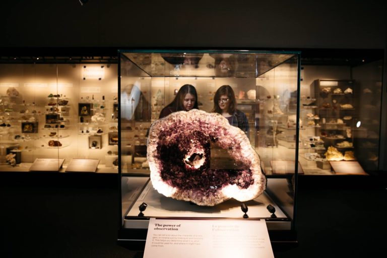 Earth sciences and geology is one focus of the Royal Alberta Museum's collection. Here, a new geology display. Photo: Facebook/Royal Alberta Museum.