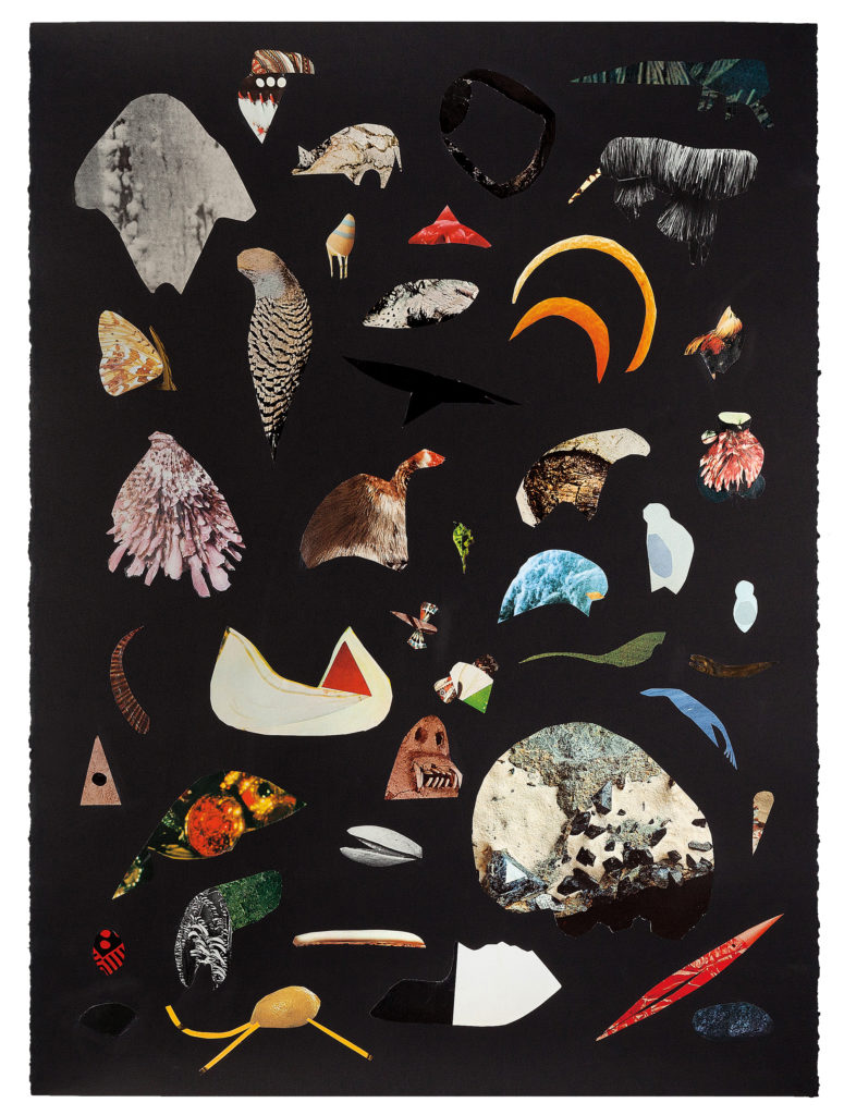 Maggie Groat, <em>Of Another Natural History II</em>, 2011. Collage, 83.8 x 63.5 cm. Courtesy the artist. Collection TD Bank.