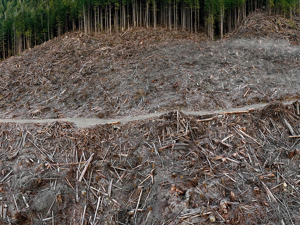 Edward Burtynsky, <em>Clearcut #5, Vancouver Island, British Columbia, Canada</em>, 2017. Pigment inkjet print, 1.48 x 1.98 m. Courtesy the artist and Nicholas Metivier Gallery, Toronto. © Edward Burtynsky, 2017