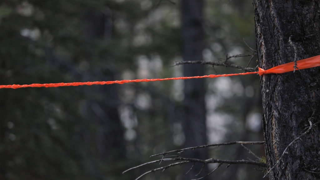 Meagan Musseau, <em>when they poison the bogs we will still braid sweetgrass</em>, 2017. Digital video still from a land-based performance on Treaty 7 Territory, 10 minutes, 42 seconds. Courtesy the artist.