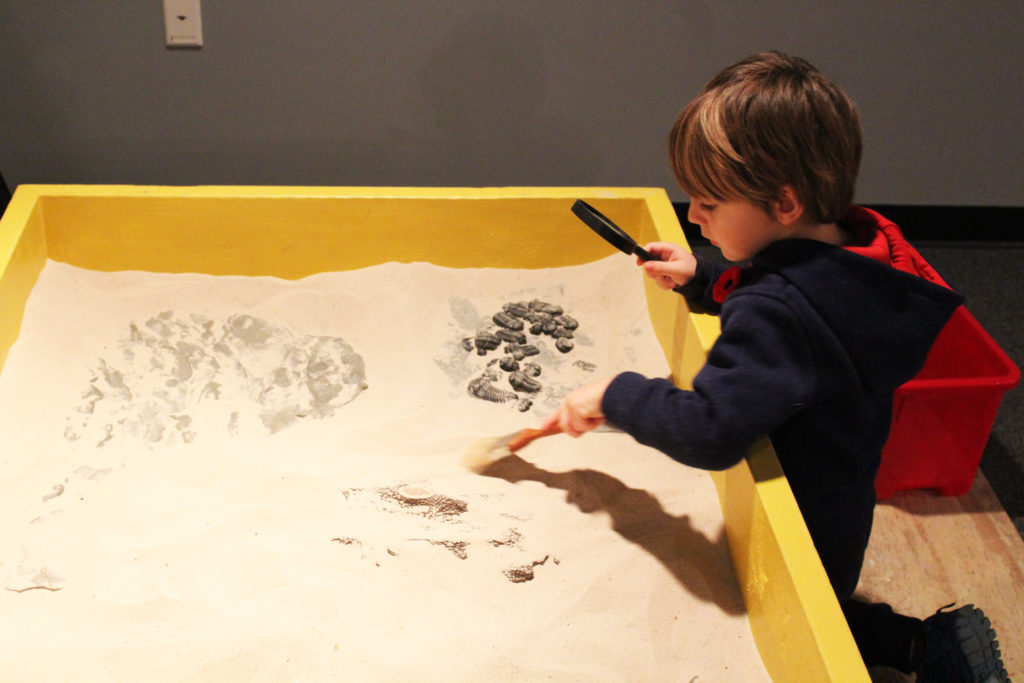 A child participates in an activity at the New Brunswick Museum.  The museum has been trying to work toward a new facility since 2000, but just suffered a major setback due to a withdrawal of $50 million in provincial funding. Photo: Facebook / New Brunswick Museum.