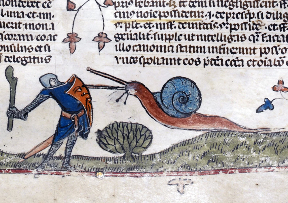Snail fights knight in medieval manuscript. Photo: The British Museum. 