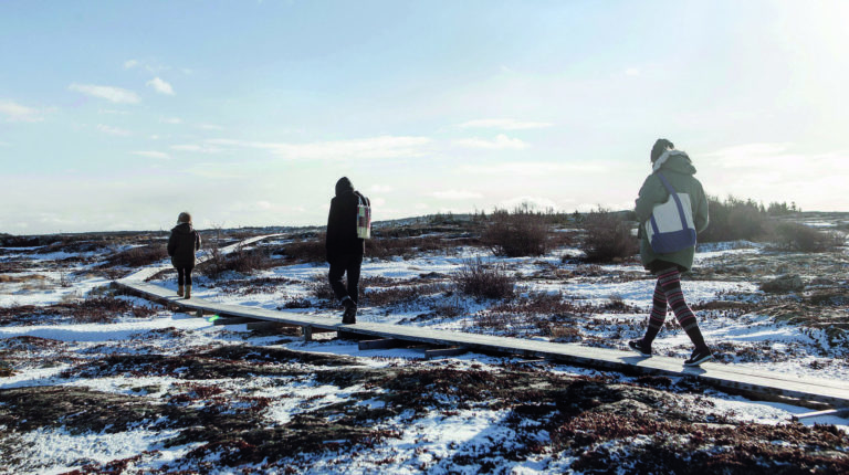 Fogo Island Arts
residents (from left)
Danai Anesiadou and Kate Newby, with Andrew Lichtenstein, on the boardwalk to Tower Studio, Shoal Bay, March 2013. Photo: Steffen Jagenburg.