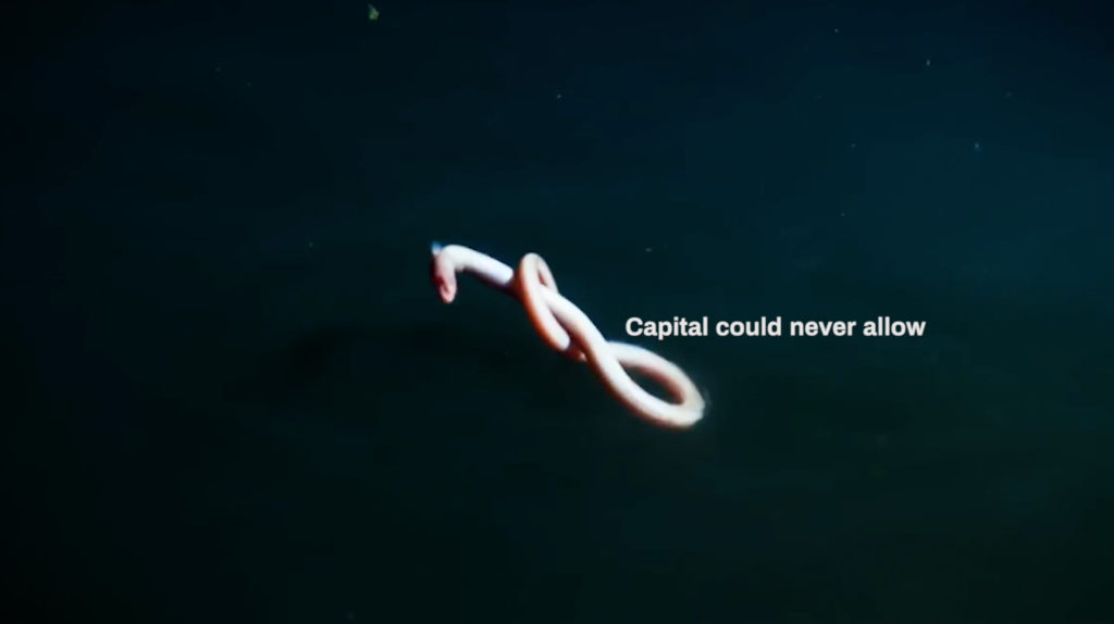 Denise Ferreira da Silva and Arjuna Neuman, <em>4 Waters: Deep Implicancy</em> (still), 2018. Digital video, 29 min 10 sec.