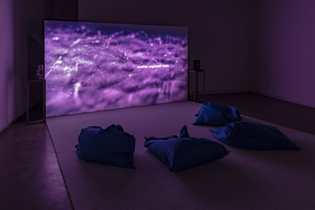 Denise Ferreira da Silva and Arjuna Neuman, <em>4 Waters: Deep Implicancy</em>  (installation view), 2018. Digital video, 29 min 10 sec. Photo: Toni Hafkenscheid.