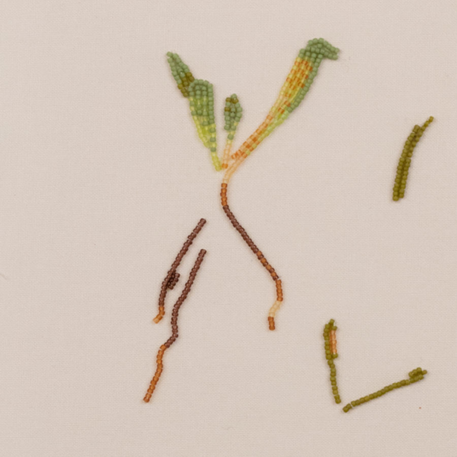 Carrie Allison, <em>Beaded Botanical 3 (sabatia kennedyana fern.)</em>, 2018. Toho beads on linen. Courtesy the artist. Photo: Séamus Gallagher.