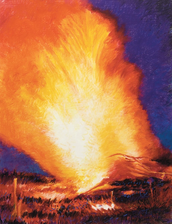 Mary Pratt’s <em>Bonfire</em>, 1997, was auctioned at Consignor Canadian by The Fluvarium in St. John’s to help the financially struggling environmental centre.