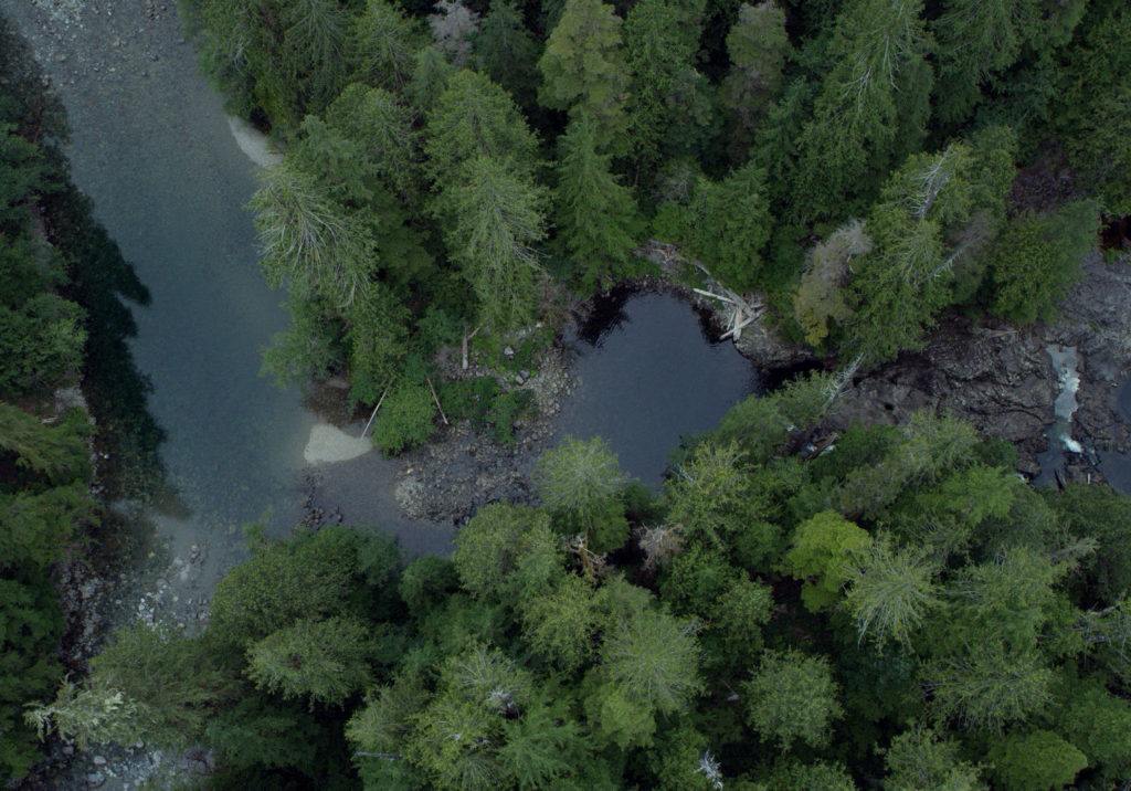 Leila Sujir, <em>Aerial</em> (still), 2019. Digital IMAX, 9 min 20 sec. Courtesy the artist.