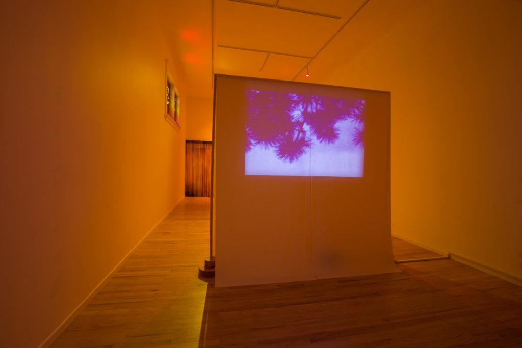 Nicole Kelly Westman, “cuculoris, a time machine for shadows,” 2019. Installation view at Western Front. Courtesy the artist. Photo: Dennis Ha.