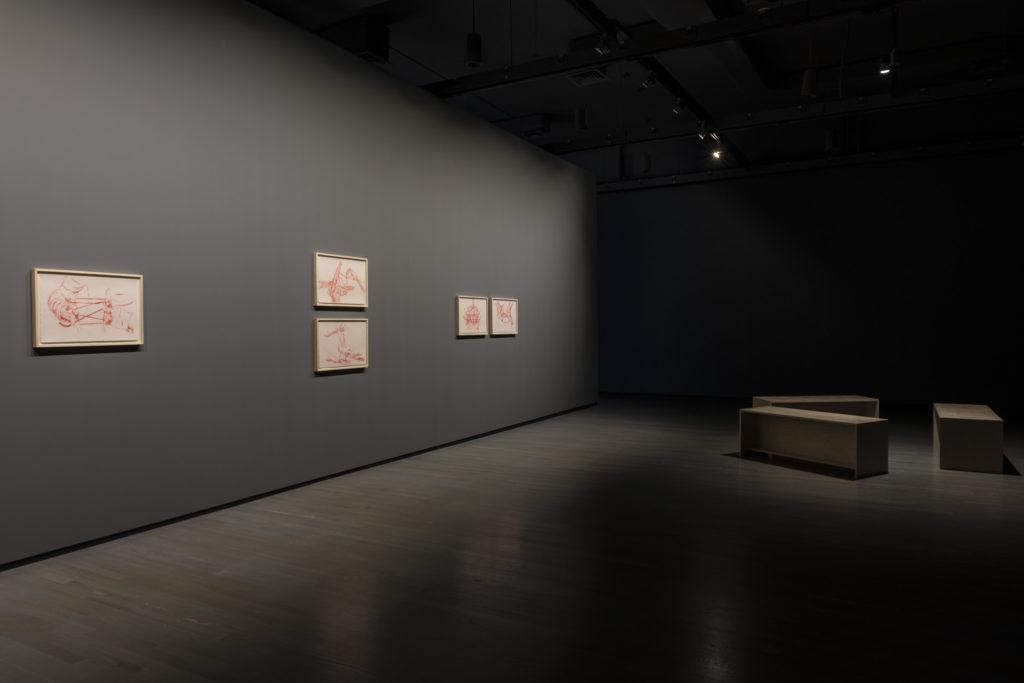 Heather Kai Smith, <em>Open Access: Claiming Visibility</em>, 2019. Installation view. Courtesy the artist. Commissioned by Walter Phillips Gallery, Banff Centre for Arts and Creativity. Photo: Jessica Wittman.