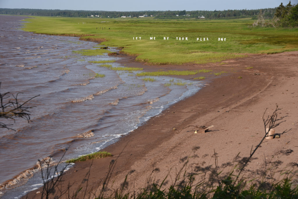 Amy Siegel and Paul Henderson's <em>Let Me Be Your Plus One</em> (2019) at Wood Point on the Bay of Fundy. Photo: John Haney.