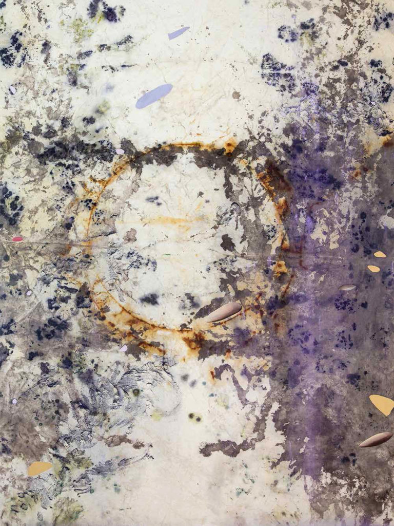 Gillian King, <em>Moon Marrow</em>, 2019. Cold wax medium, oil, raw pigments, rust sediment and various plant material on canvas, 122 x 91 cm. Courtesy Galerie Nicolas Robert.
