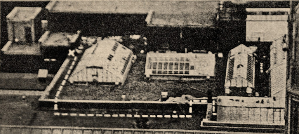 An illustrated photo published in the <em>Gazette</em> on September 5, 1972, indicates the point (marked “X”) where the thieves gained access to the Montreal Museum of Fine Arts rooftop. They then made their way to the skylight under repair, where they entered the museum. Photo: Jean-Pierre Rivest, <em>The Gazette</em>. 