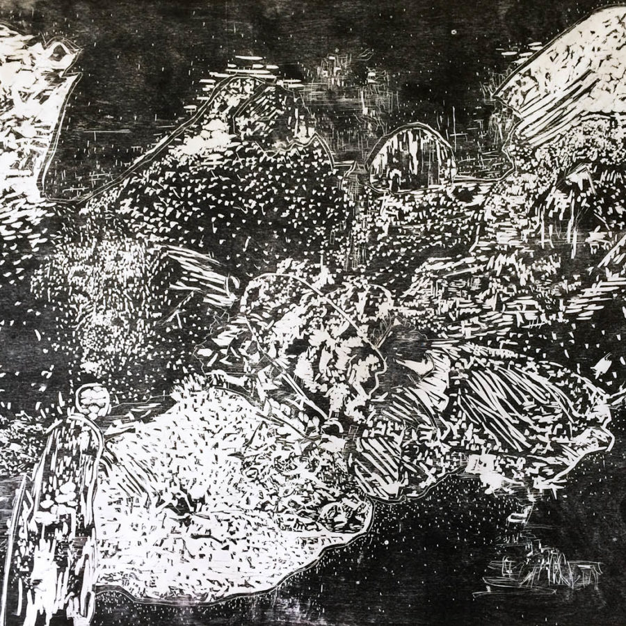 Lisa Matthias, <em>Airborne</em>, hand-printed woodcut on paper, 42 x 60 in.